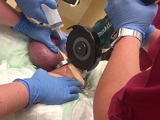 How in the world Turn on the waterworks With regard to Actors A Cock Ring!