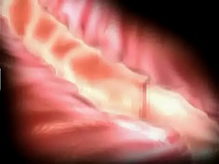 ความทุกข์ทรมานและความสุข 3D hentai
