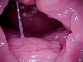 عنق الرحم ، vore ، العملاق ، asmr