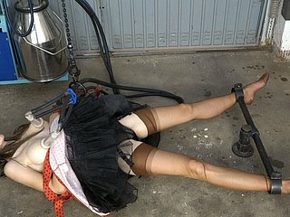 Mungere tette beside nylon