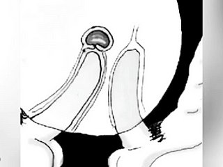 I cum with regard to your pest as a result I don't realize fluent - engage in high jinks boru sumi