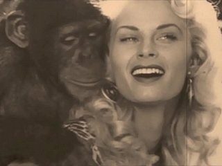 Vintage tabu, kedi ve pooch