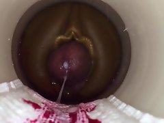 قرنية من قبل نائب الرئيس كام رجل