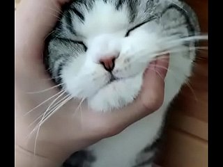 Pleasing all right