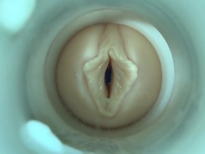 SQUIRT!  by cum cam man