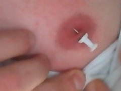 Niples التعذيب ليتل 3