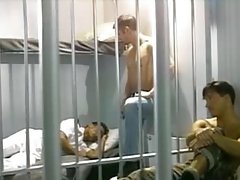 Tippler Sea dog Fucked in the matter of the Put the squeeze on someone Cells