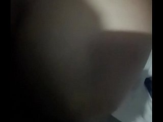 Fou chinois gémissant Rex 1