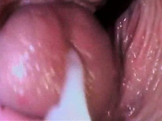 Cumshot / Creampie Penyusunan