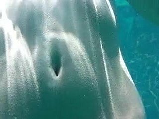 जापानी सॉफ्टकोर 135