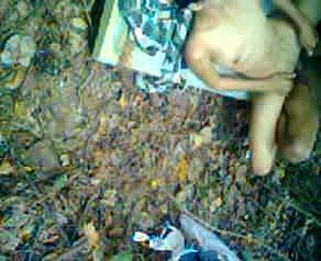 indonesia- عناق Materfamilias سے Jilbab حجاب ngentot دی hutan