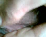 Indonesian till fianc