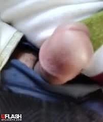 Hijabi بس فلیش
