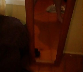 WP 20170714 15 34 38 Pro